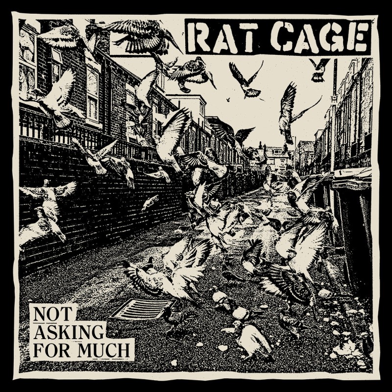 RAT CAGE - Not Asking For Much Lp